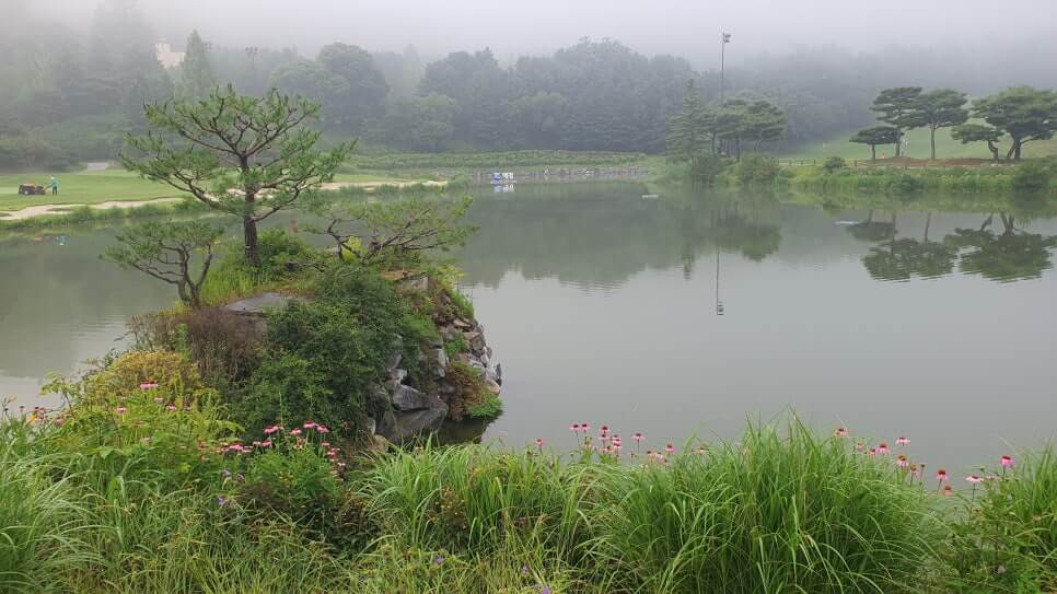 골프장 경험담 광주 더시에나서울cc 오랜 시간 수준 높은 명문의 자리를 지켜온 프레스티지 골프장