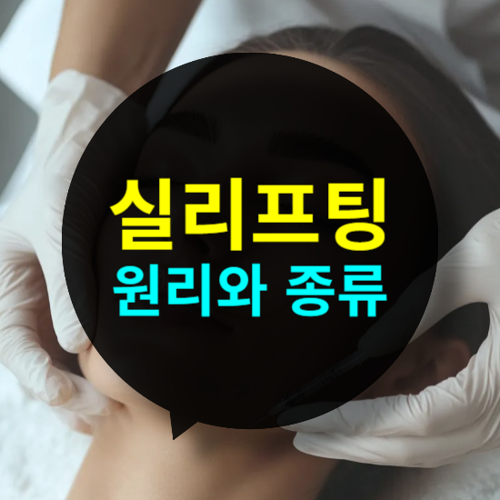 실리프팅 원리와 종류