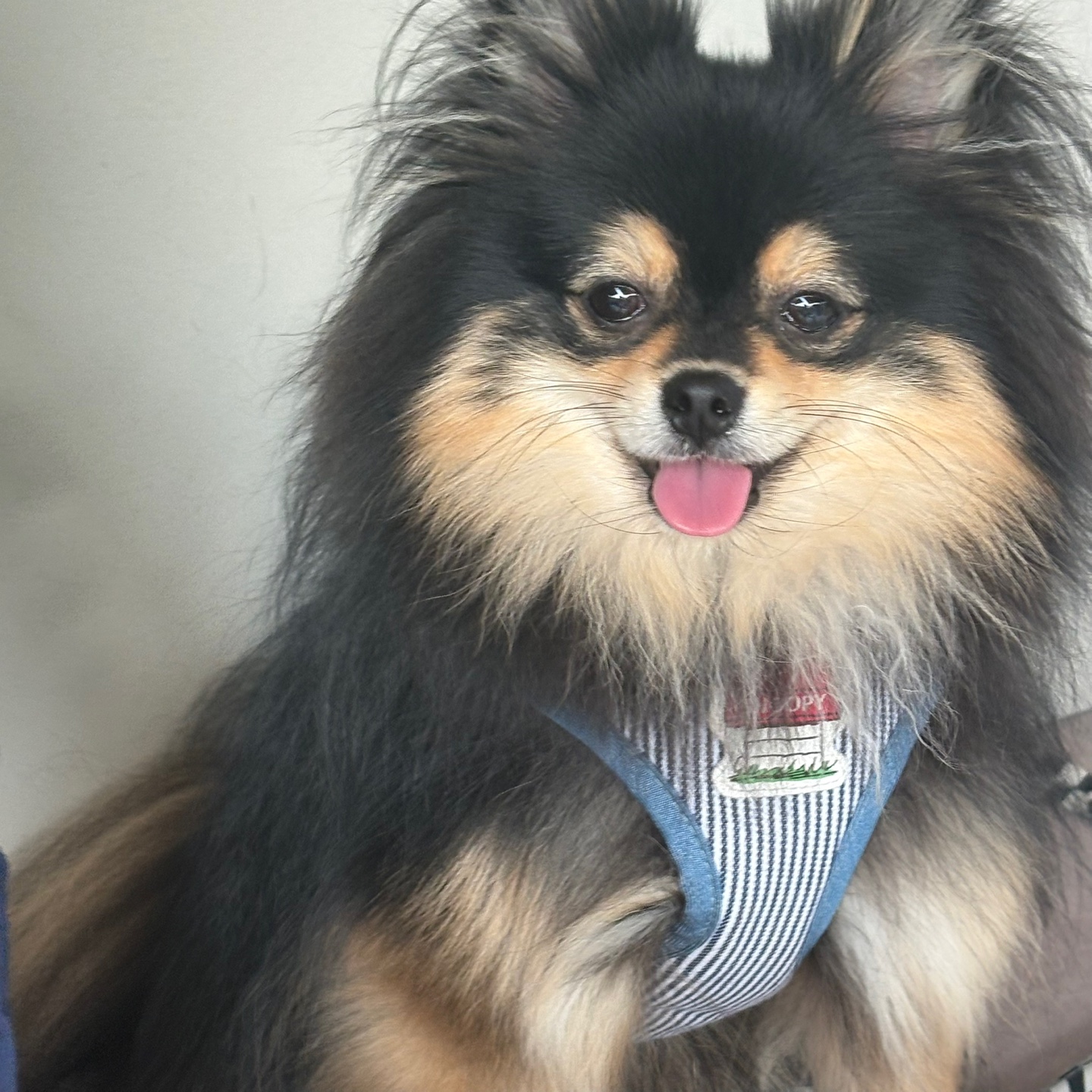 건강을 되찾은 달콩