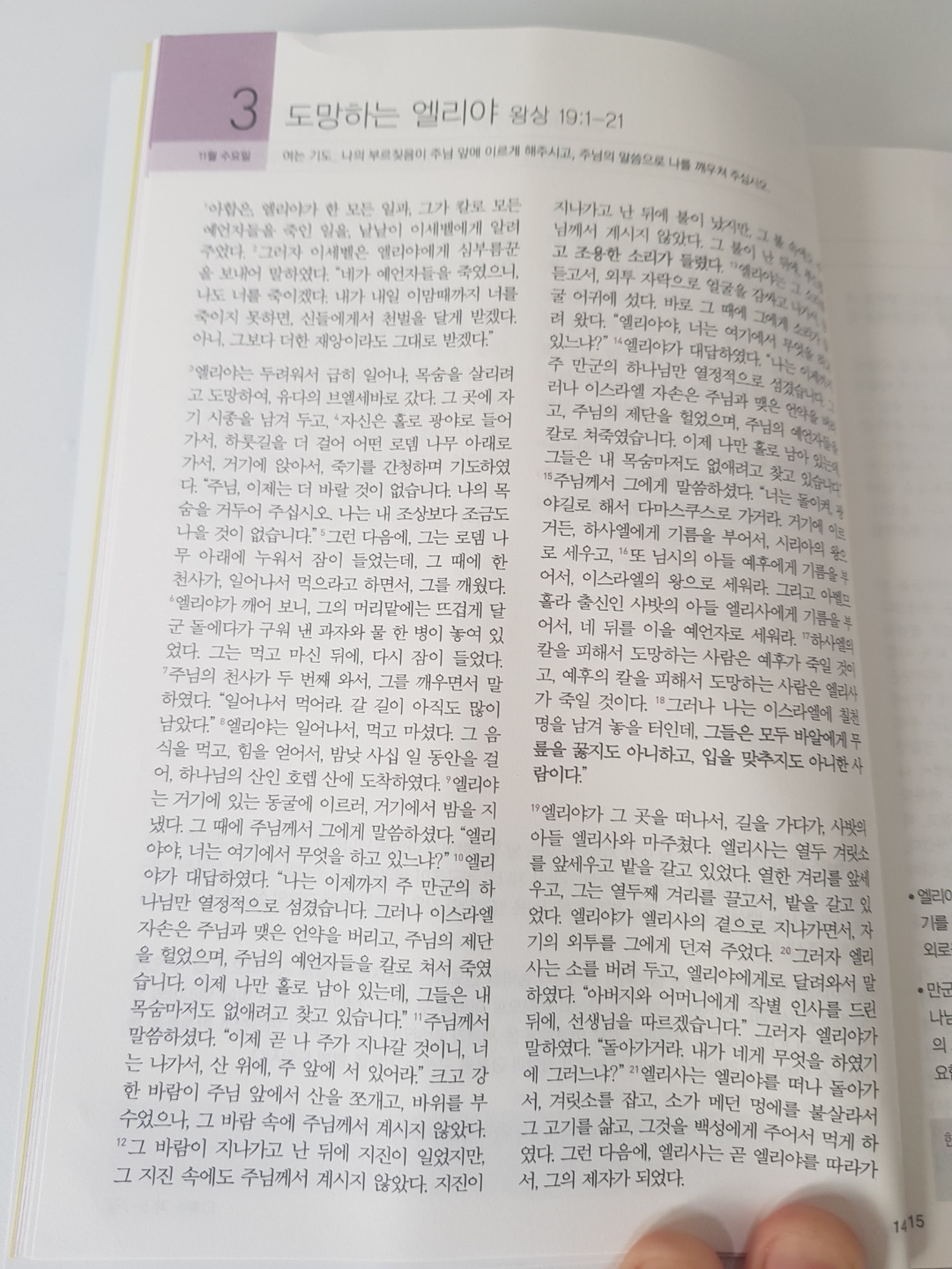 211103 시냇가에 심은 나무