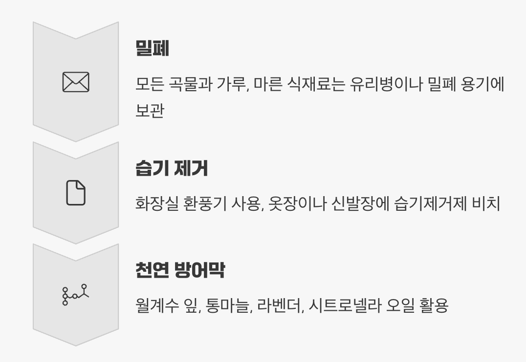 재발 방지, 완벽한 방어선 구축하기 (예방법)