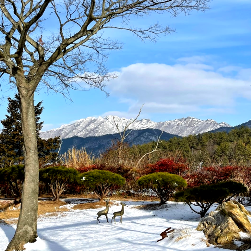 특색있고 아름다운 민간 정원 30선 추천 여행 - 08. 해남 문가든