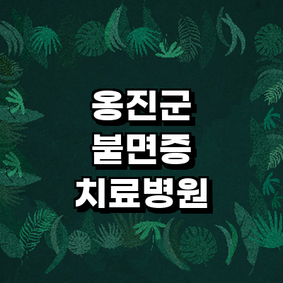 인천 옹진군 불면증