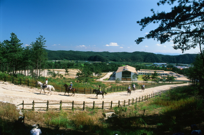 영천 가볼만한곳 베스트10