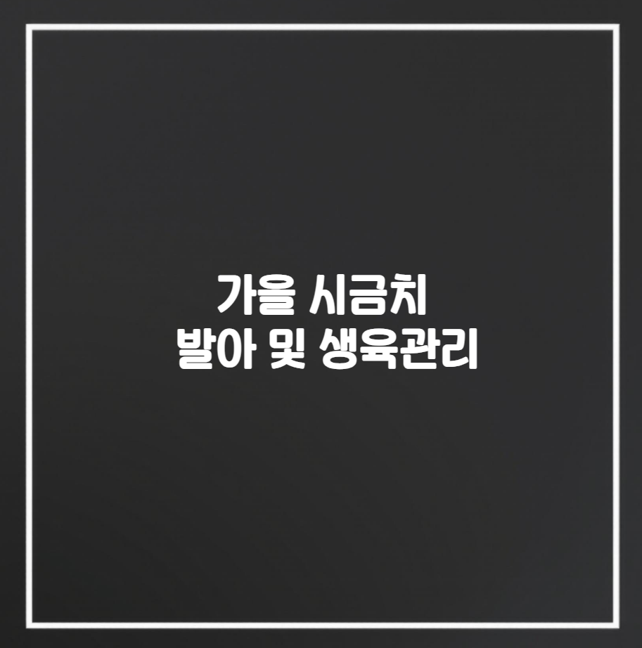 가을 시금치 발아