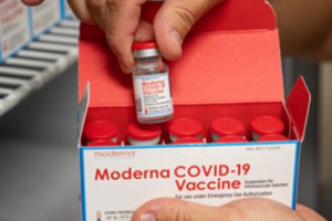 모더나 백신 사진