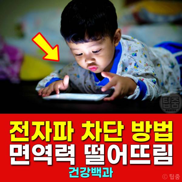 전자파 차단 방법 면역력 저하