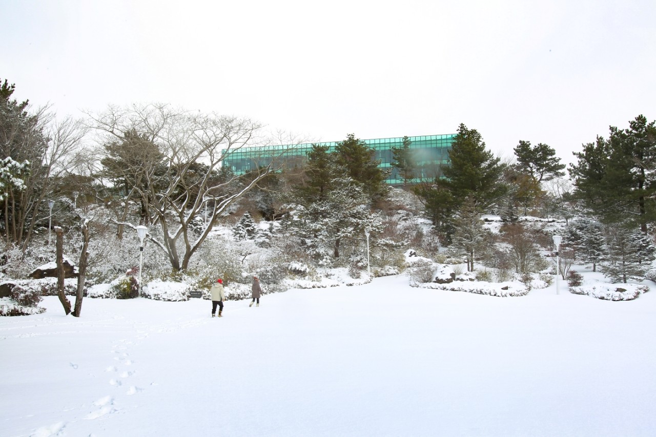제주 위 호텔 겨울