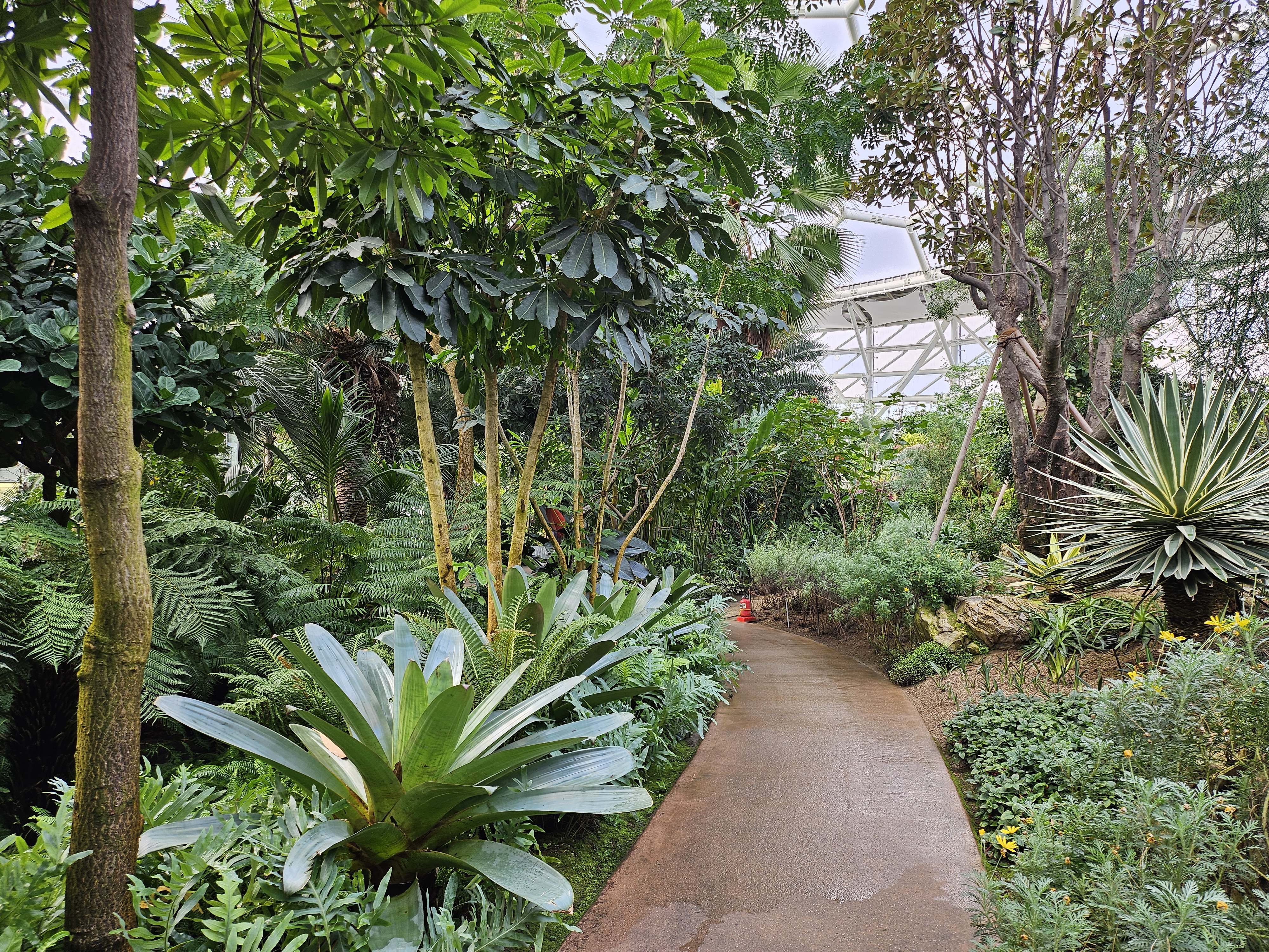 겨울 실내 아이와 가볼만한곳 부천호수공원 식물원 수피아