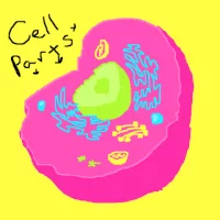 Cell