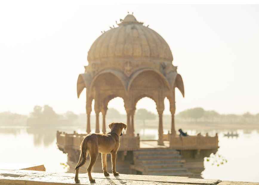 해외여행지 사진