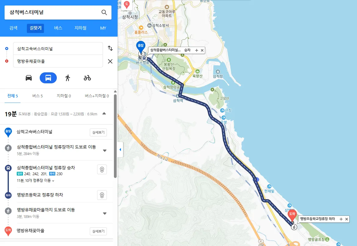 강원도 삼척버스터미날 - 맹방 유채꽃