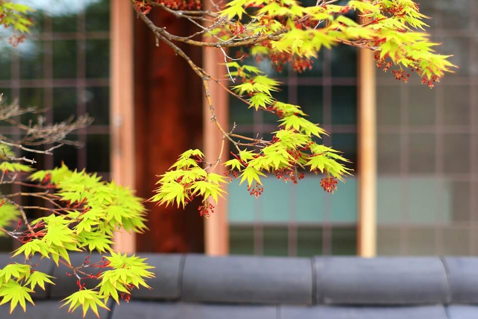 창덕궁 달빛 기행