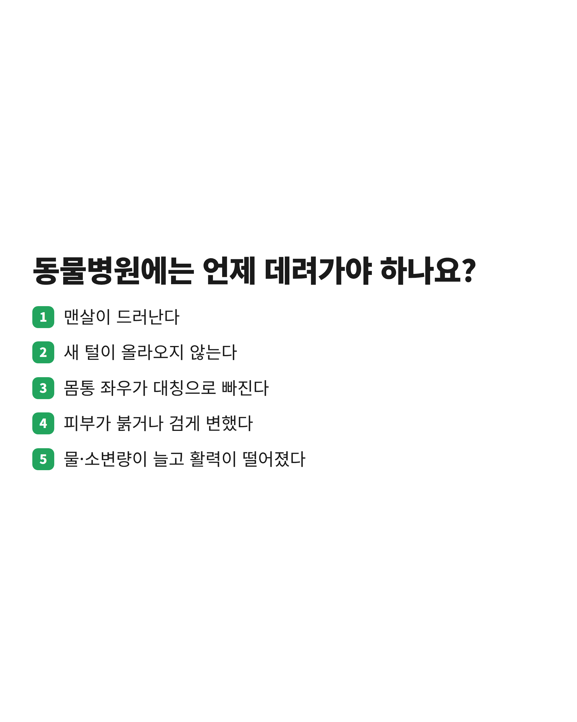 강아지 털빠짐에서 동물병원 진료가 필요한 다섯 가지 신호를 정리한 체크리스트