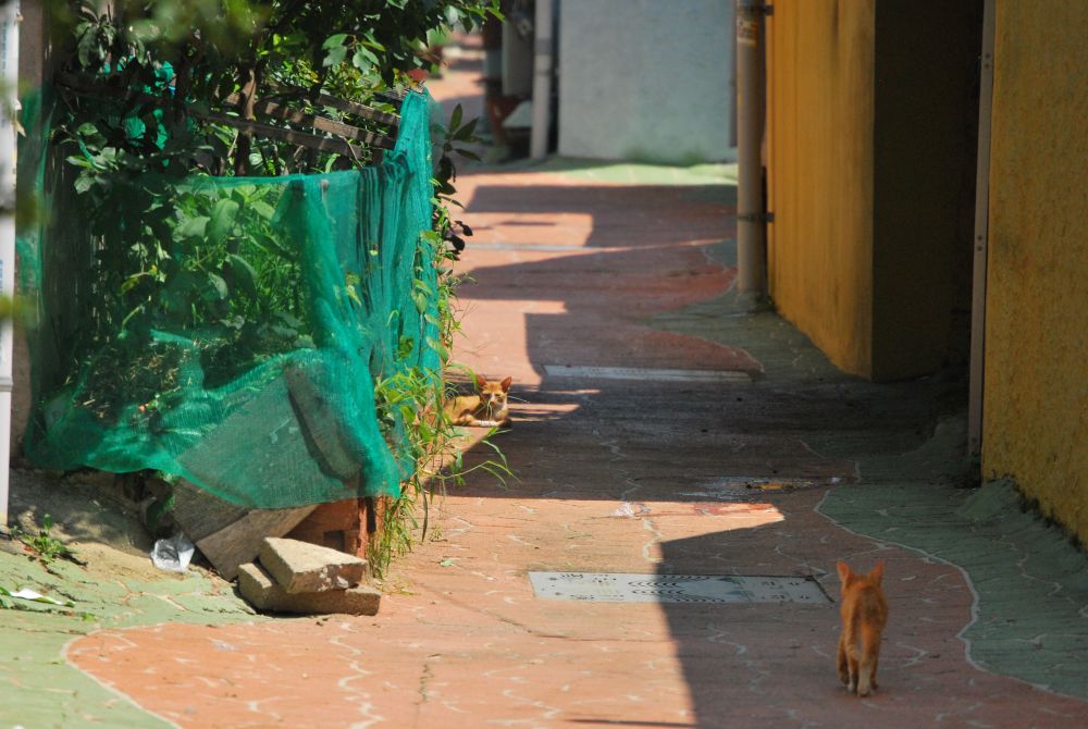 사상구 주례2동 철길마을