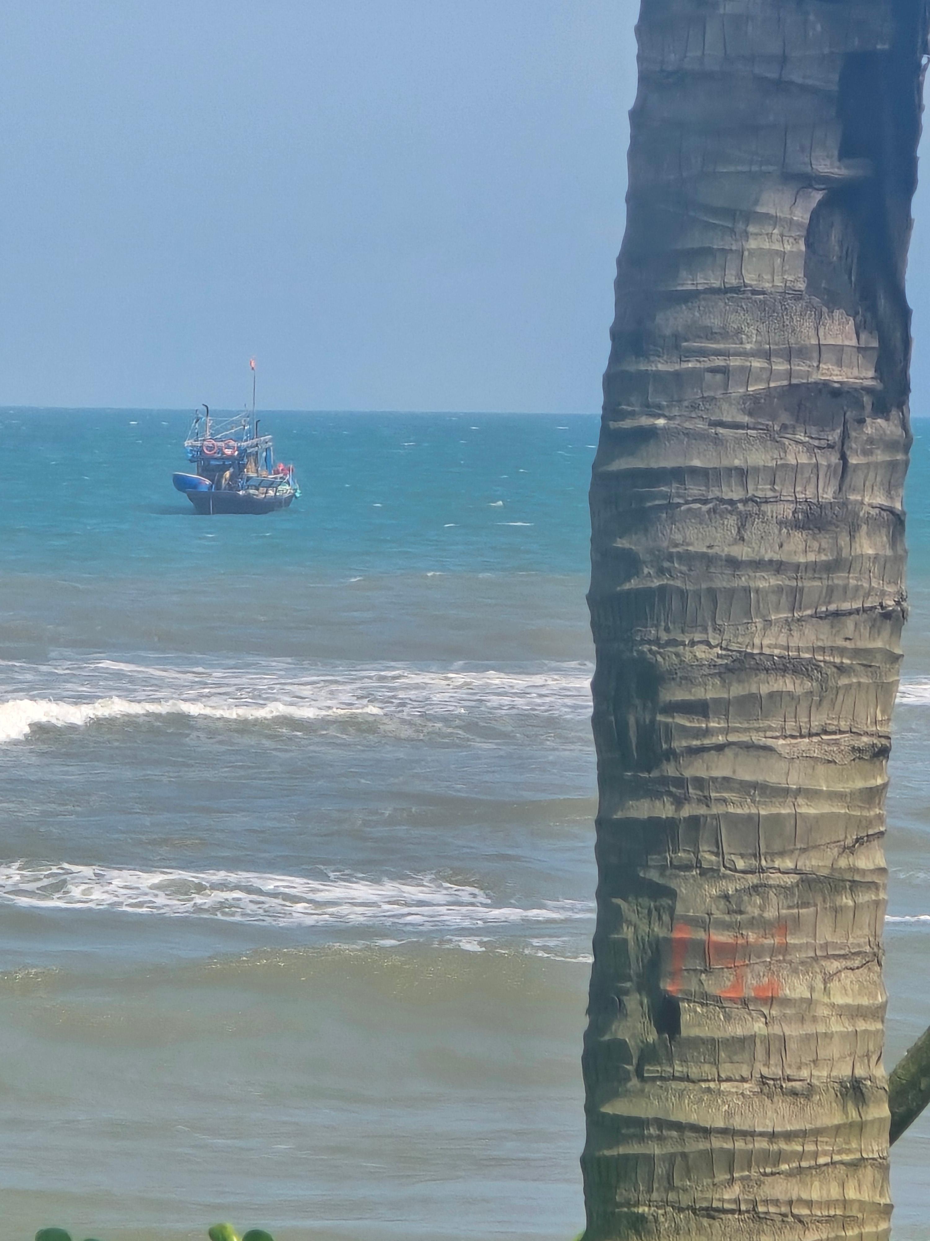 땀끼 해변 바다 위에 떠 있는 어선과 야자수 풍경