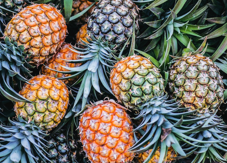 파인애플