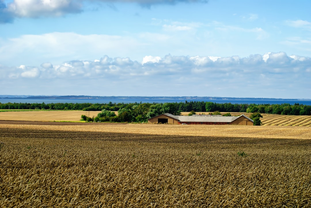 Farmland.