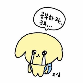 모의고사 등급컷