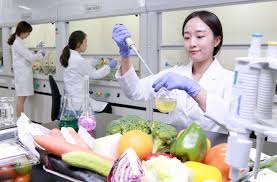 식품위생교육 온라인교육 바로가기