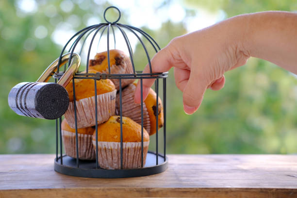 간헐적 칼로리 제한 수명 장수 저속 노화 열량 조절 소식 소식좌 과식