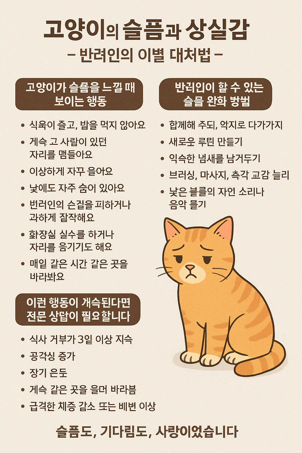 고양이의 슬픔과 상실감, 반려인의 이별 대처법