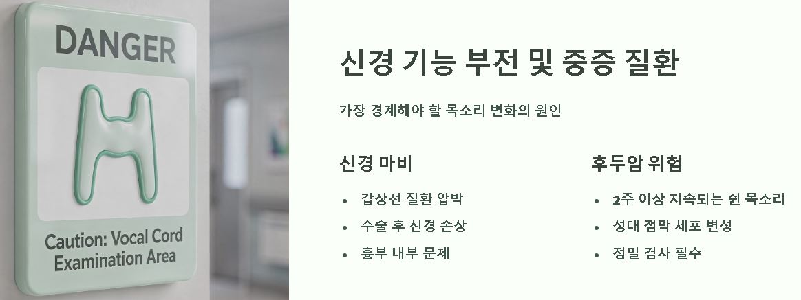 목소리가 쉬는 이유