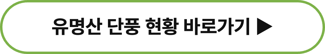 2026 단풍 절정 시기 지역별 예상 날짜 정리