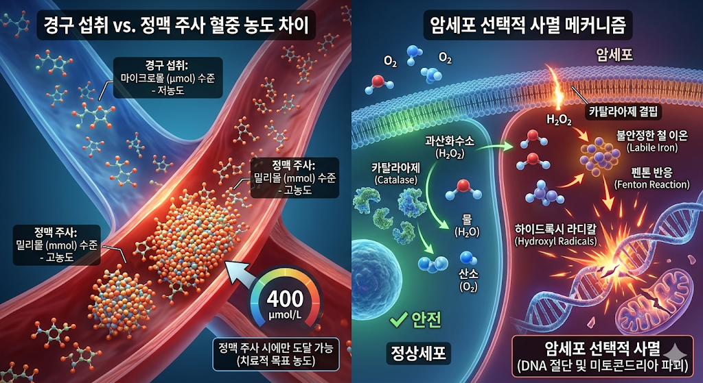 비타민C주사