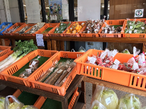 유후인 여행 추천 미치노에키 유후인