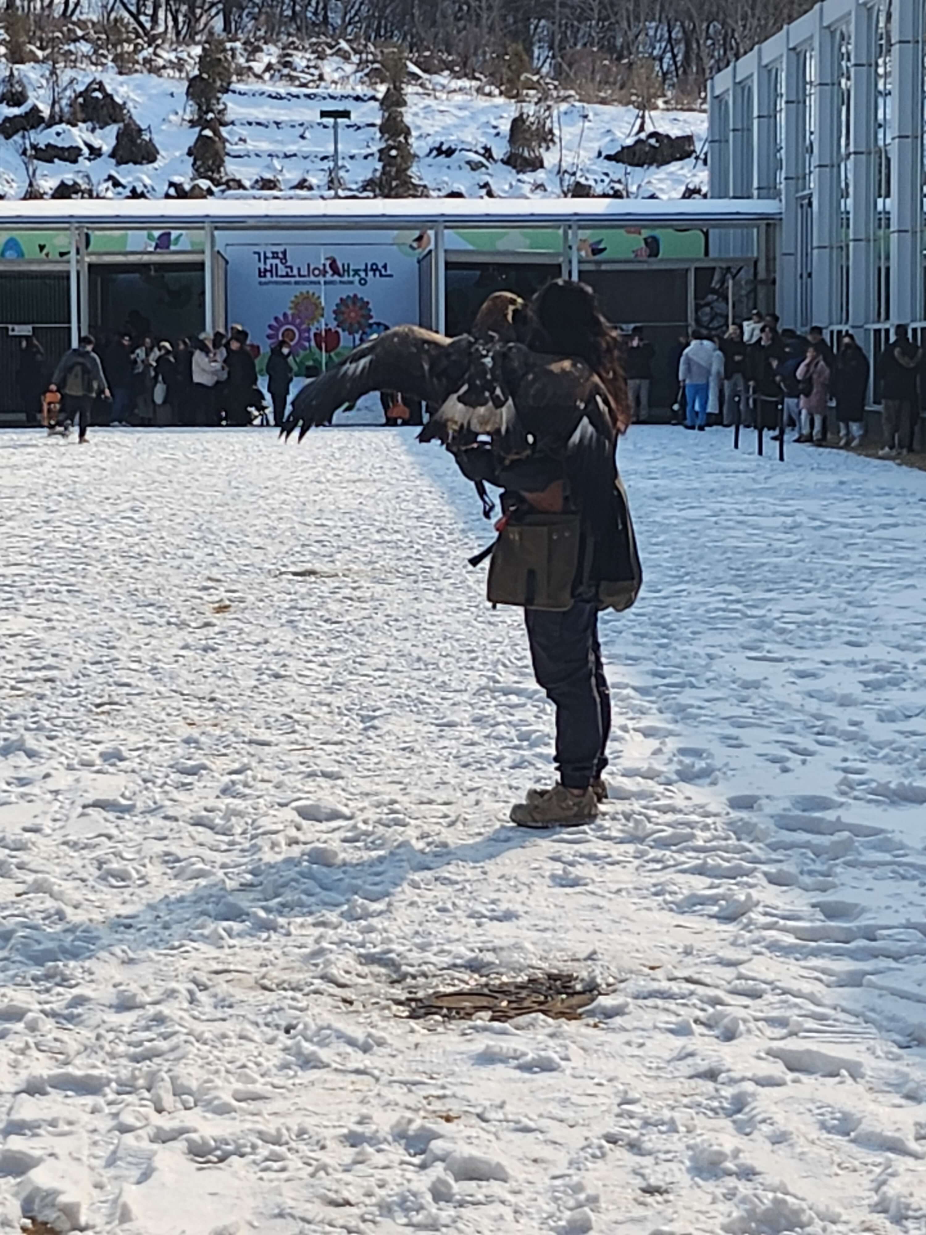 가평 베고니아 정원