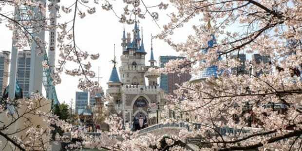 2025 석촌호수 벚꽃축제