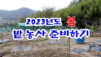 봄 텃밭 준비 토양 갈기 석회 퇴비 잡초 씨 제거_12