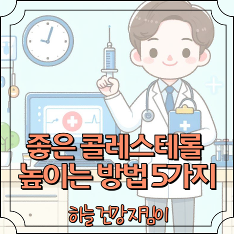 좋은 콜레스테롤 높이는 방법 필수 5가지