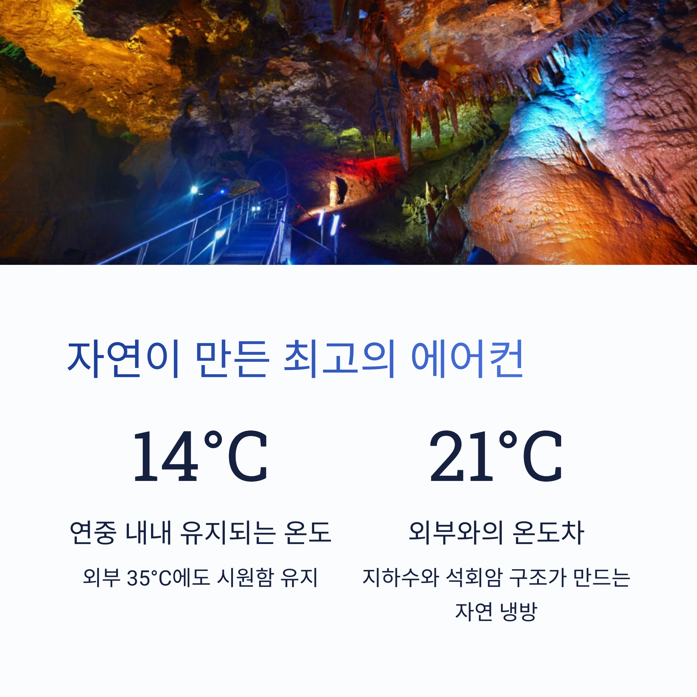 자연이 만든 최고의 에어컨