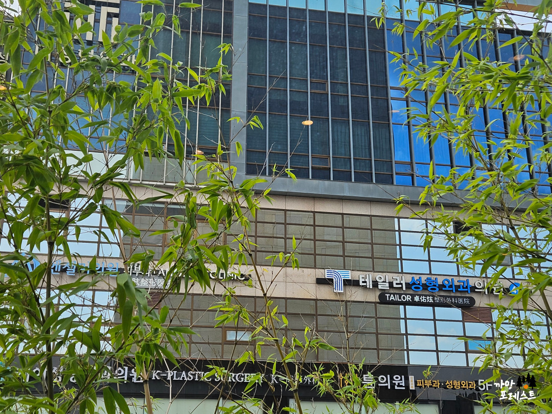 블루보틀 압구정 인테리어