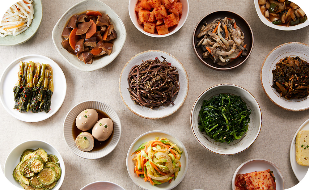 #저속노화식단 #저속노화 #성인병