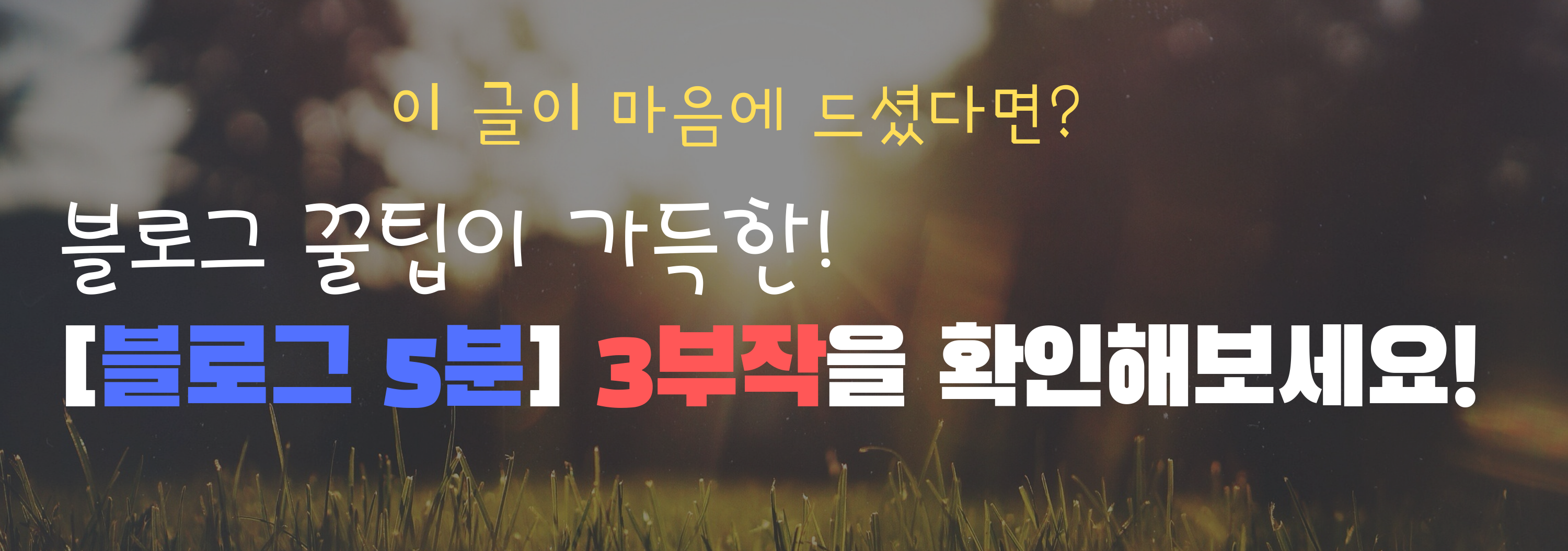 블로그 5분 시리즈