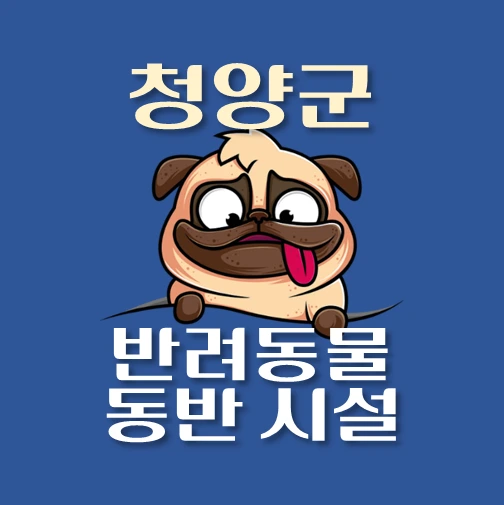썸네일-청양군-반려동물-출입가능-장소