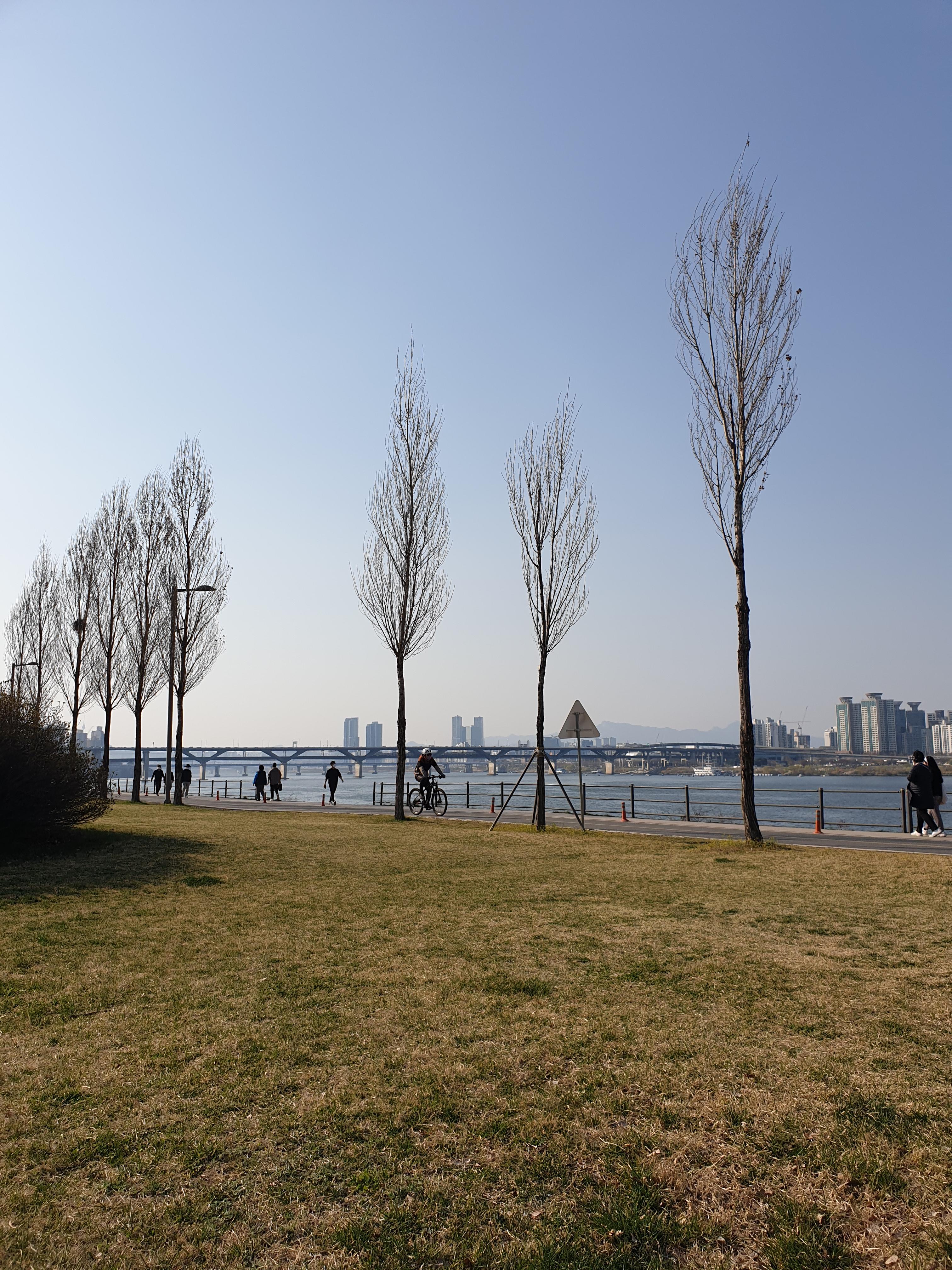 "한강 고수부지 자전거 도로와 강변을 따라 자전거를 타는 사람들."