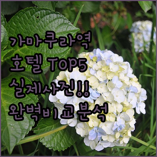 가마쿠라역 근처 호텔 추천 5곳 실제..