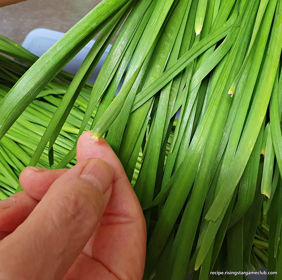 부추 겉절이를 만들기 위해 부추의 떡잎 부분을 제거하는 사진