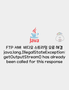 FTP Server Video Streaming