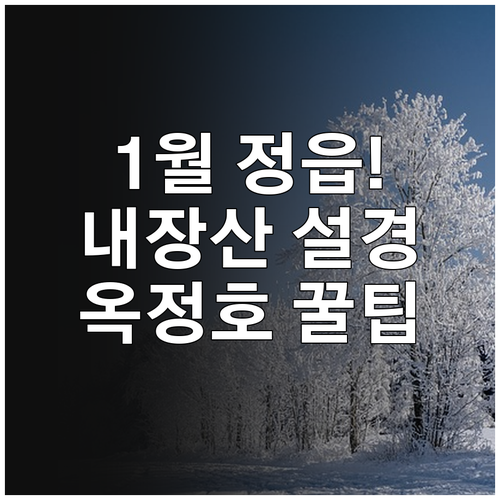 1월 정읍 가볼만한곳 내장산 설경과 ..