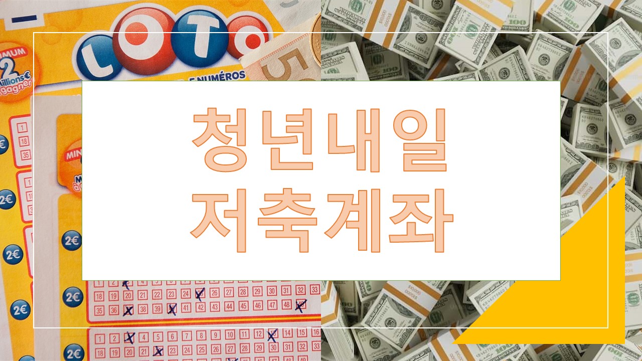 청년내일저축계좌 청년도약계좌 비교분석