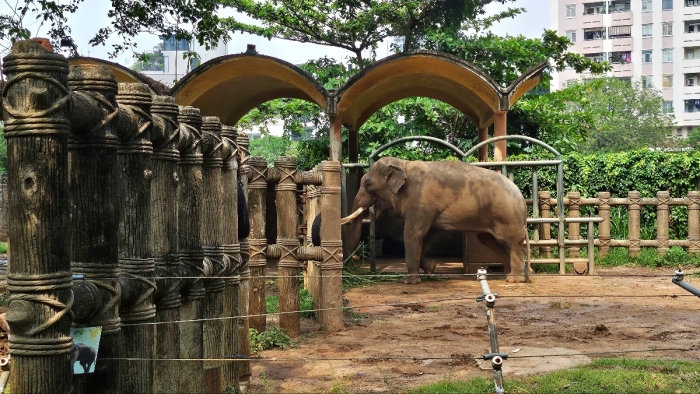 사이공동식물원4