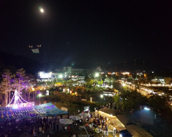 함양산삼축제_24