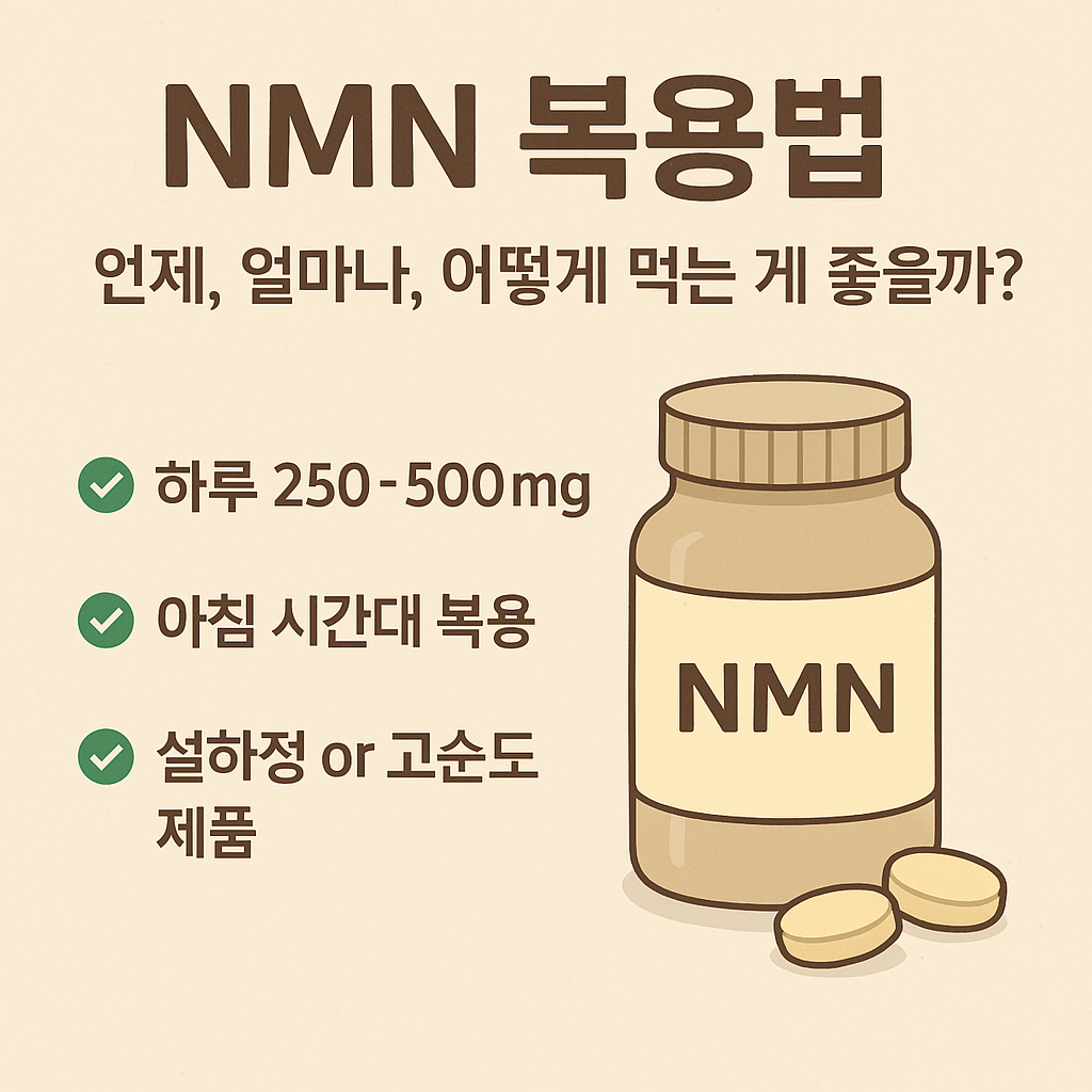nmn복용법에 대한 썸네일 이미지