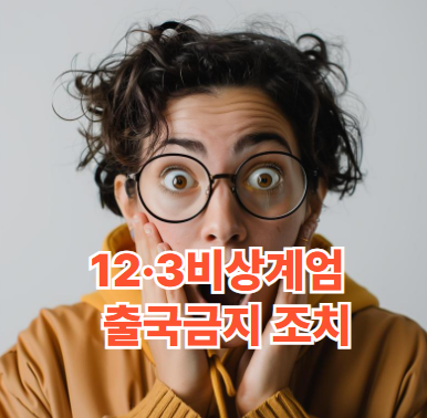 12·3비상계엄 출국금지 조치