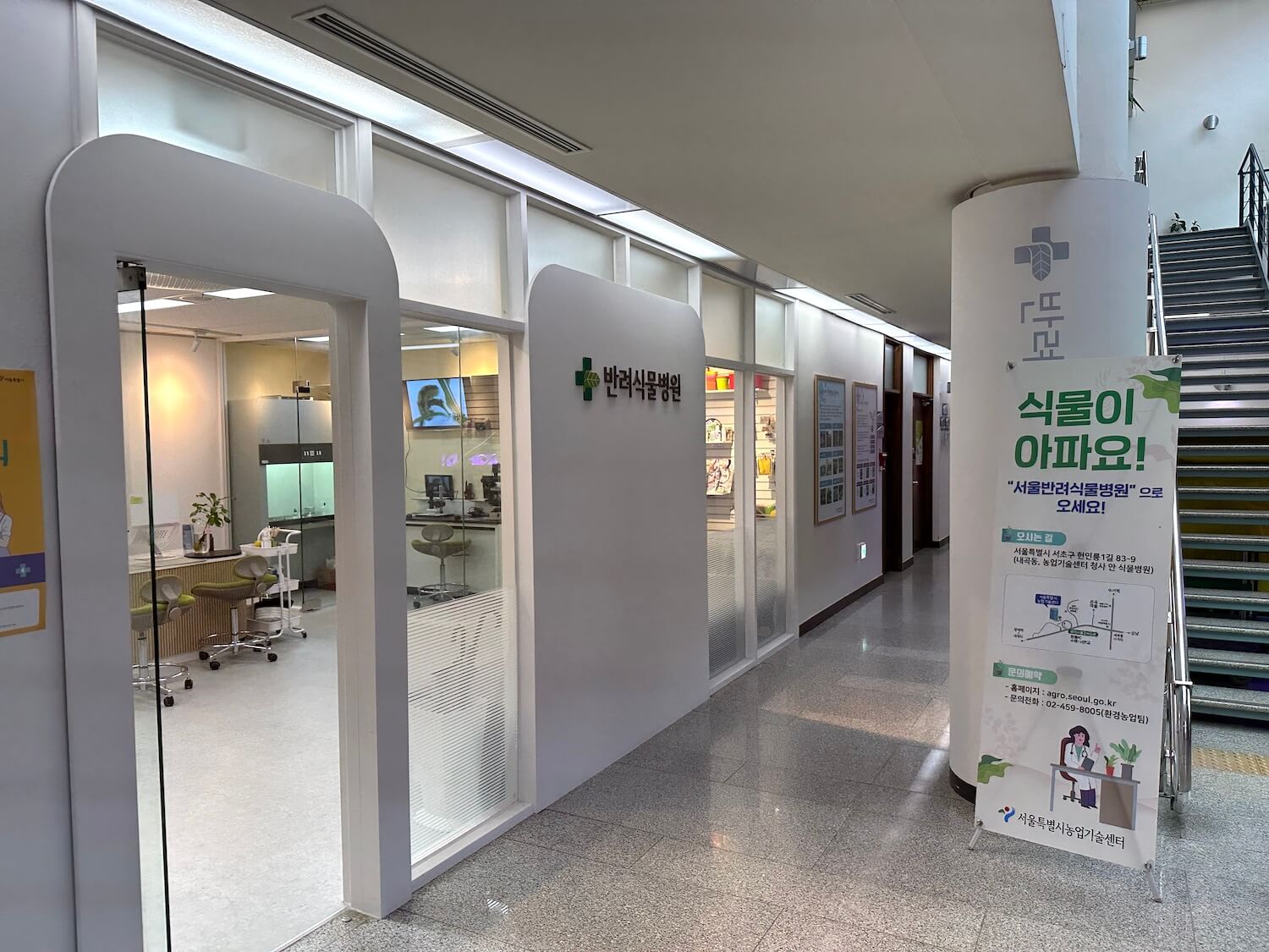 서울시 반려식물 클리닉 신청방법 예약